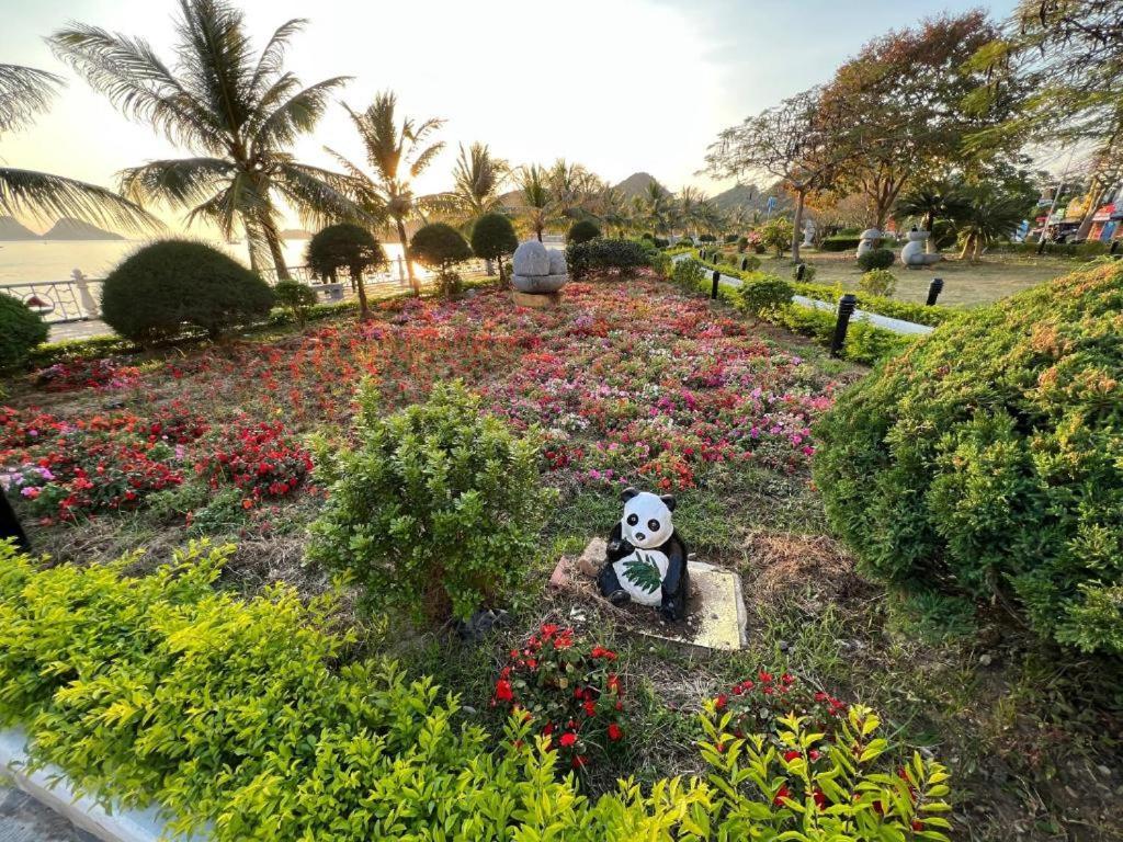 Thaí Baỏ Hotel Chan Chau Exterior foto