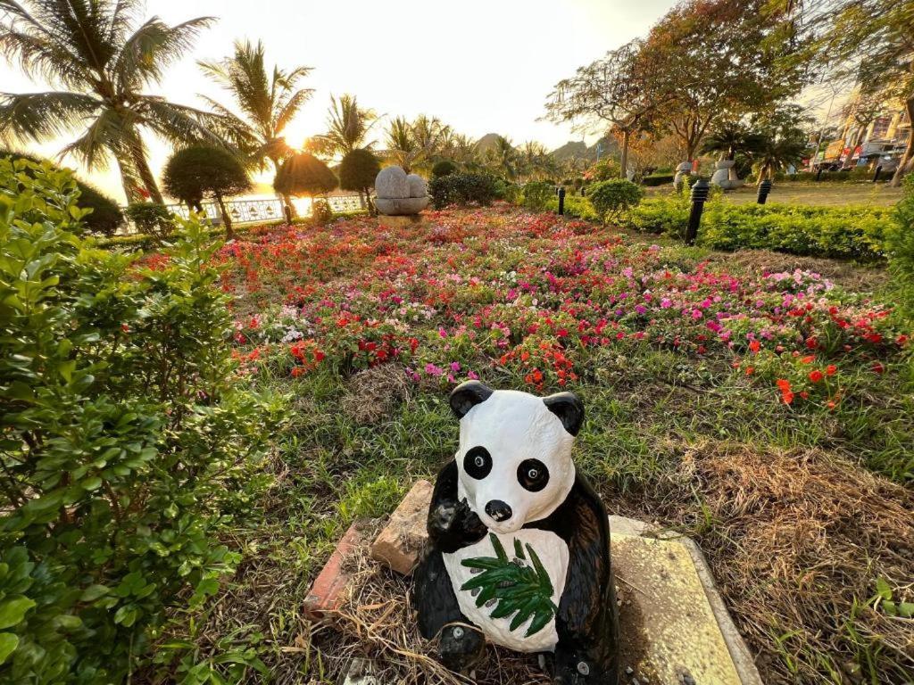 Thaí Baỏ Hotel Chan Chau Exterior foto